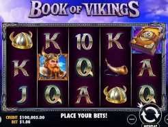 Book of Vikings